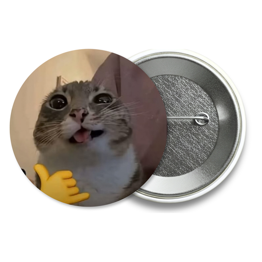 Chapita Meme Gato #12