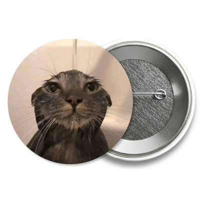 Chapita Meme Gato #17