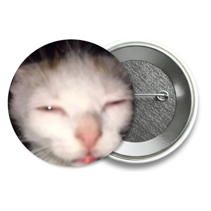 Chapita Meme Gato #02