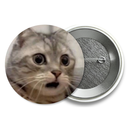 Chapita Meme Gato #37