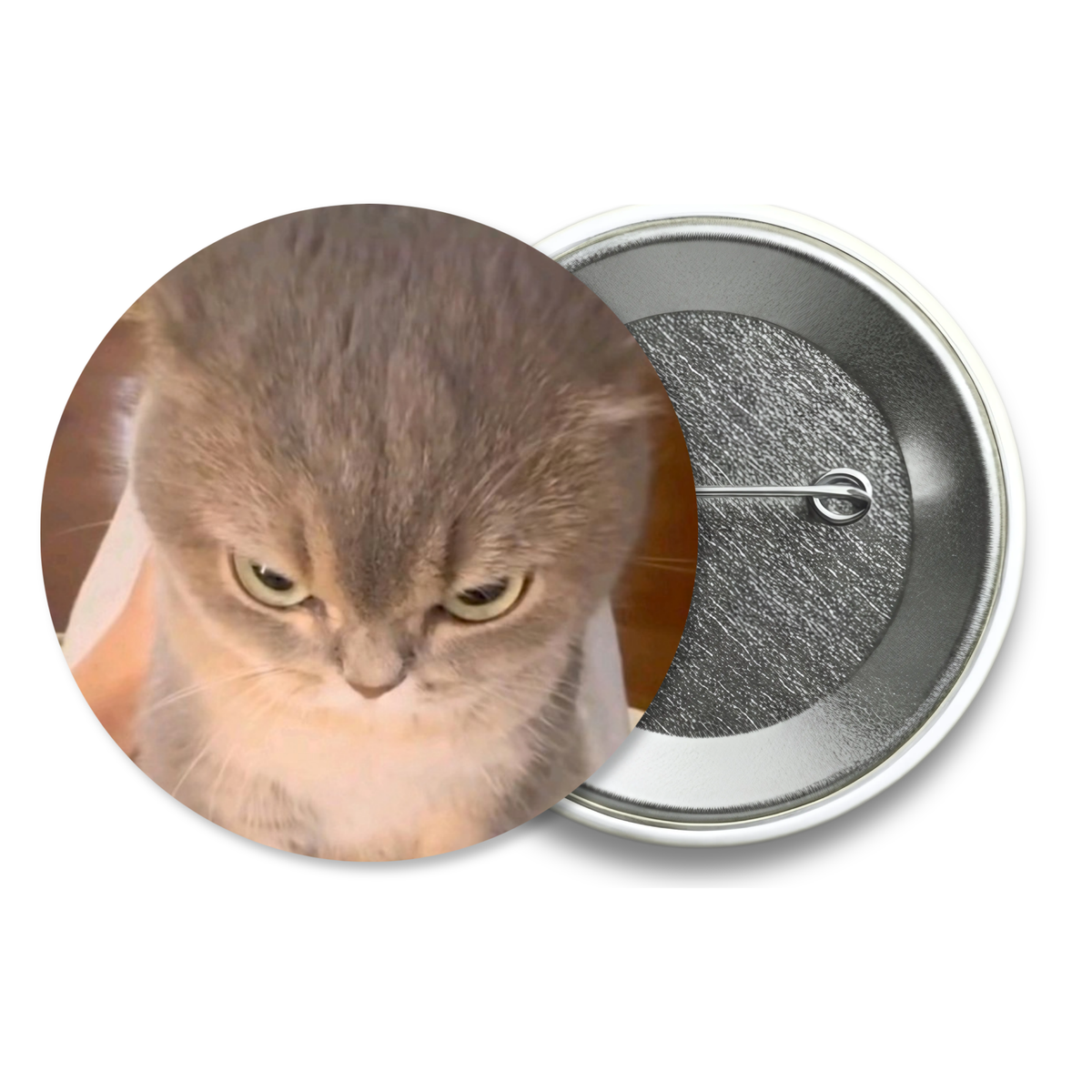 Chapita Meme Gato #41