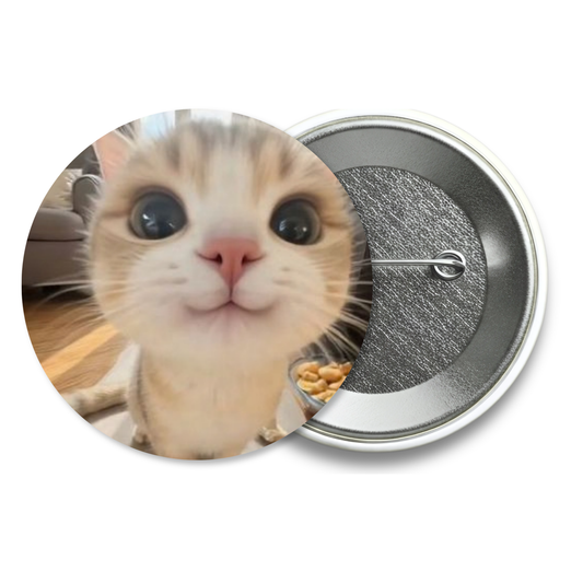 Chapita Meme Gato #42