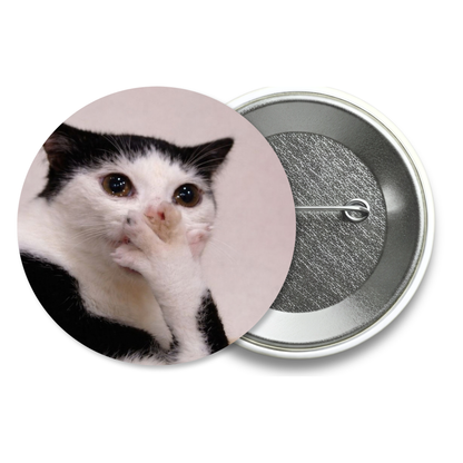 Chapita Meme Gato #50