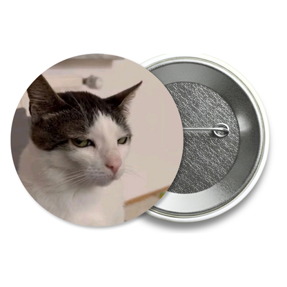 Chapita Meme Gato #07
