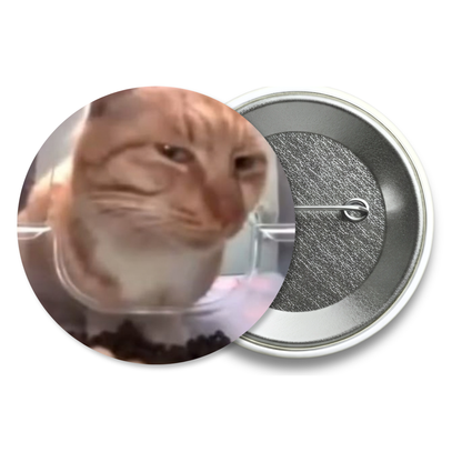 Chapita Meme Gato #08